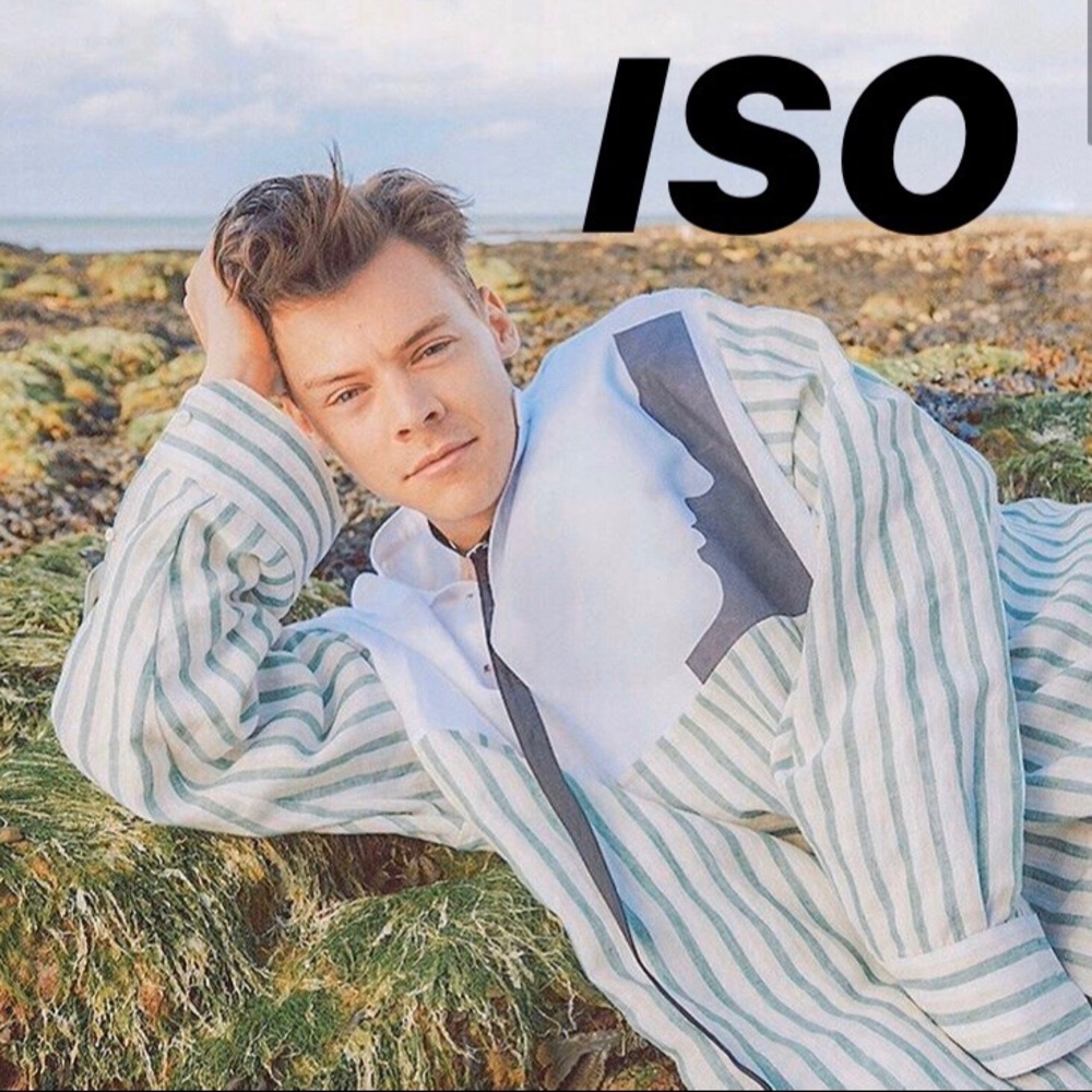 ISO Harry Styles Merch (NOT FOR SALE)